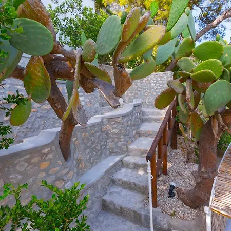 Βίλα Faraglionensis Monaconehouse *