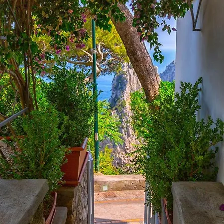 Faraglionensis Monaconehouse