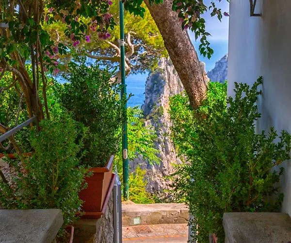 Faraglionensis Monaconehouse